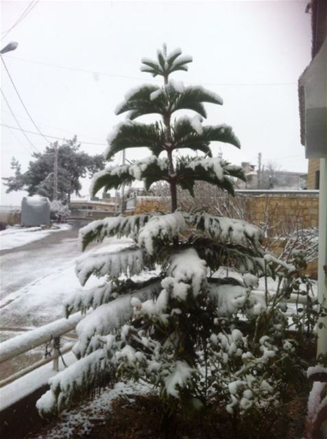 Yaroun Snow Storm 12/13/2013