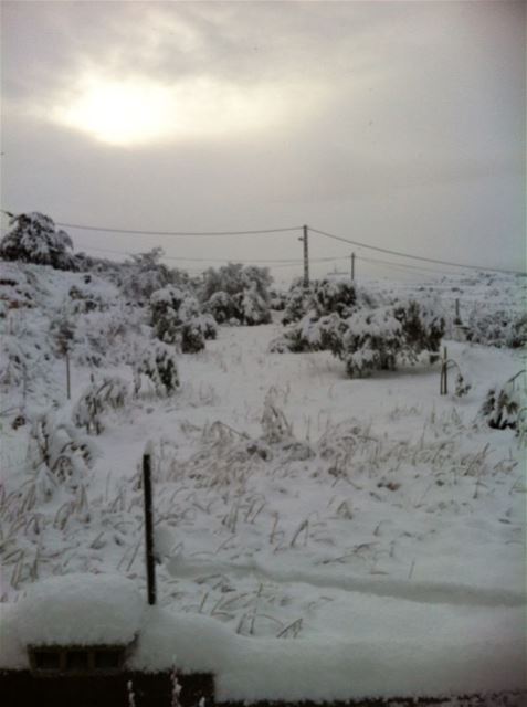 Yaroun Snow Storm 12/13/2013