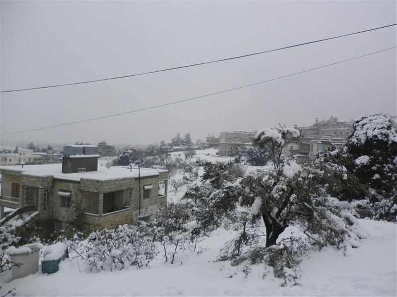Yaroun Snow Storm 12/13/2013