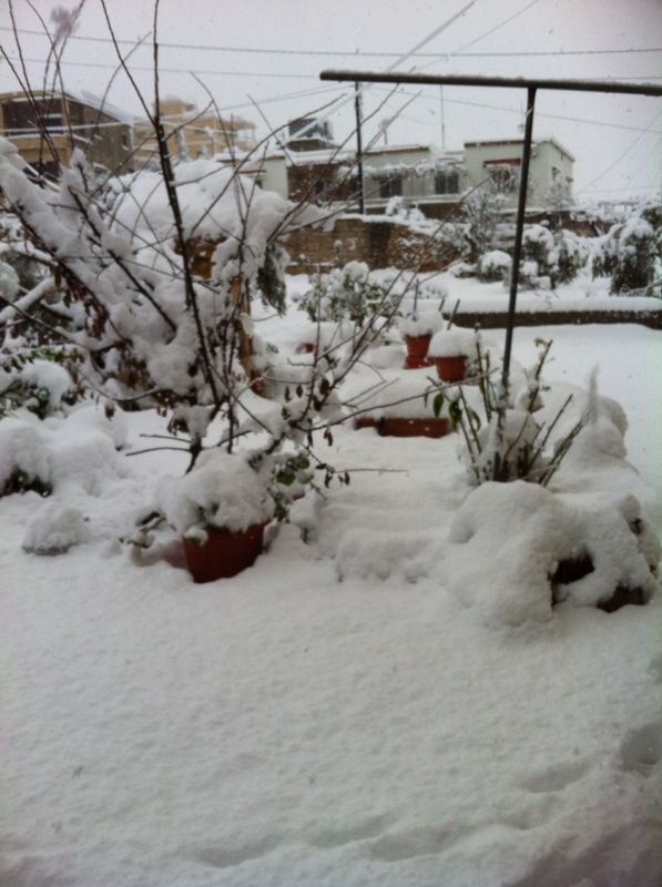 Yaroun Snow Storm 12/13/2013