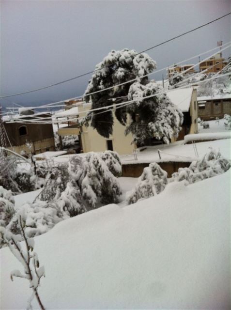 Yaroun Snow Storm 12/13/2013
