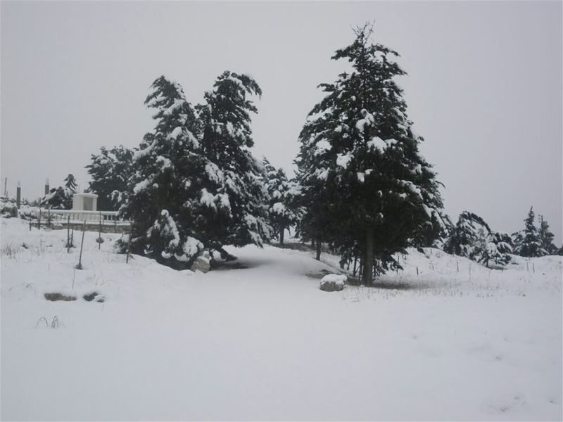 Yaroun Snow Storm 12/13/2013