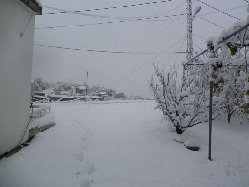 Yaroun Snow Storm 12/13/2013