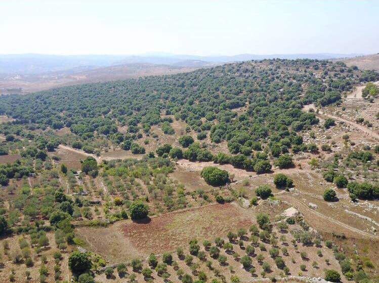  yaroun  southlebanon  mysouth  lebanon  amazingviewoflebanon ...