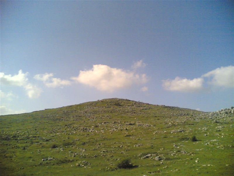 Yaroun Spring 2007