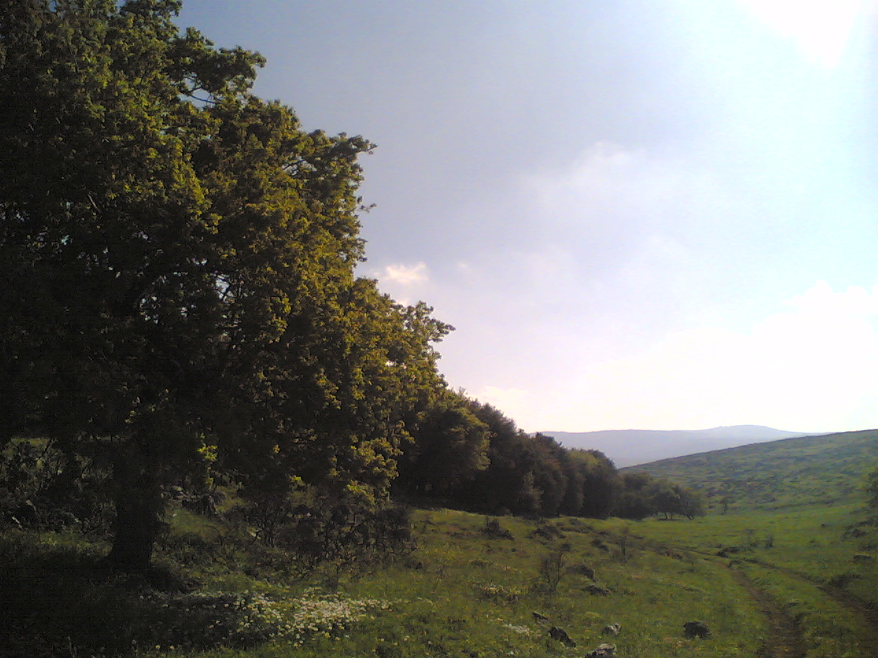 Yaroun Spring 2007