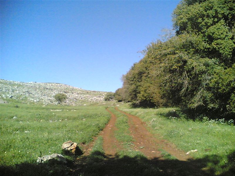 Yaroun Spring 2007