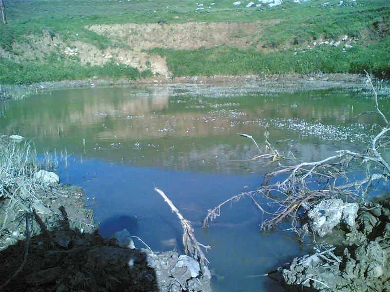 Yaroun Spring 2007