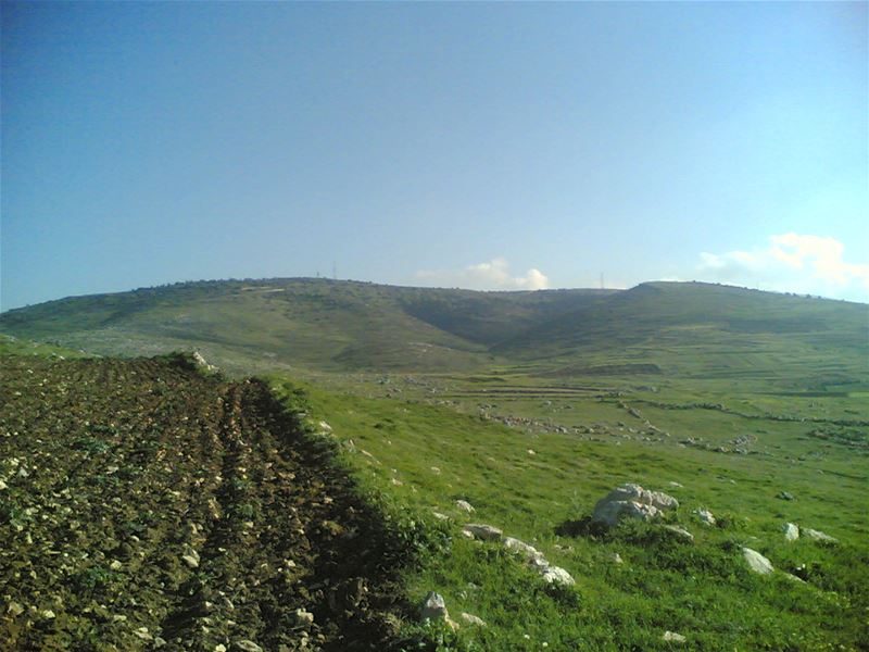 Yaroun Spring 2007