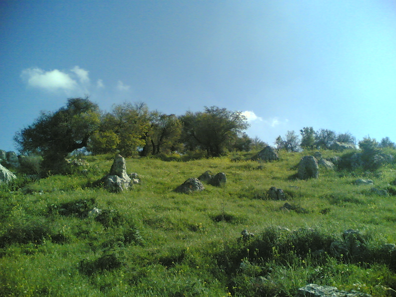 Yaroun Spring 2007