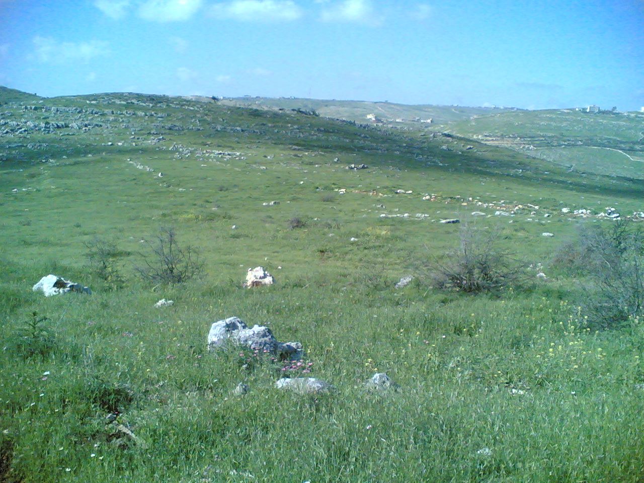 Yaroun Spring 2007