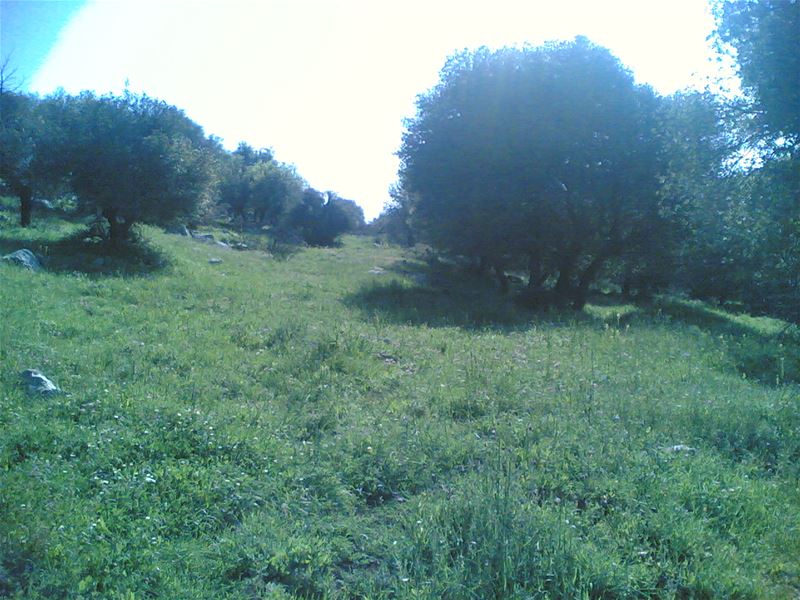 Yaroun Spring 2007