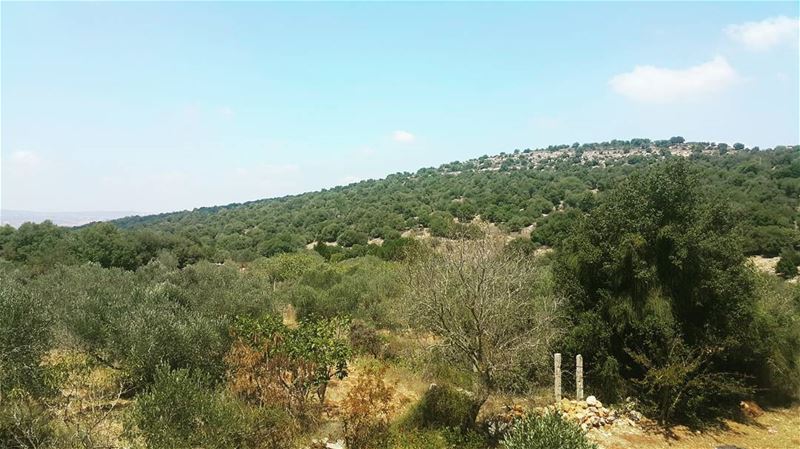  yaroun  yarounday  amazingview😍  nature  southlebanon  lebanoninapicture...