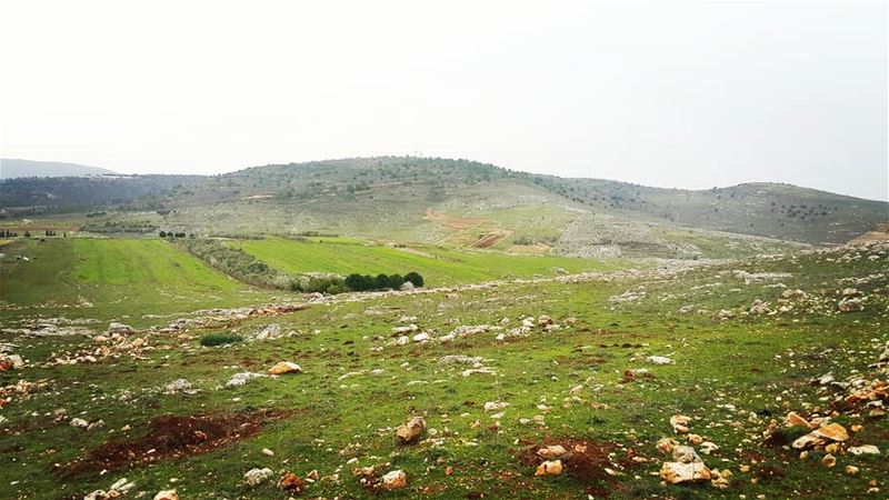  yaroun  yarounday  lebanon  borders  livelovesouth  southlebanon ...