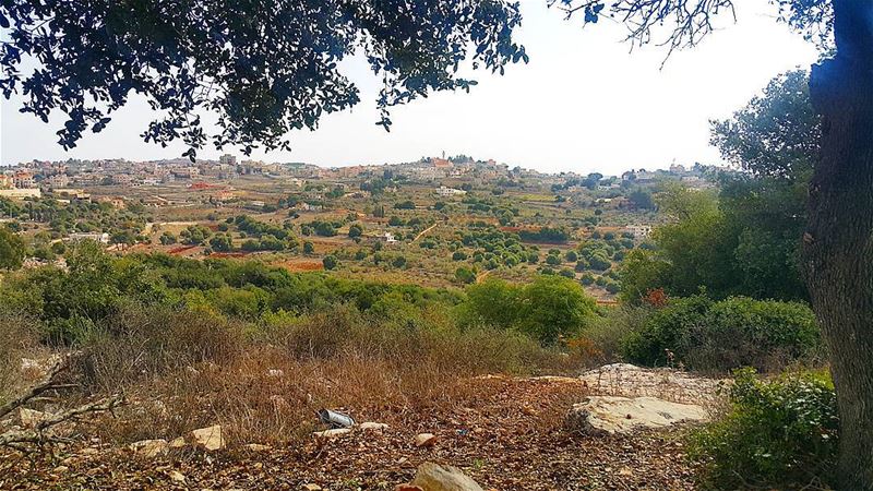  yaroun  yarounday  mysouth  visitlebanon  southlebanon  lebanoninapicture...