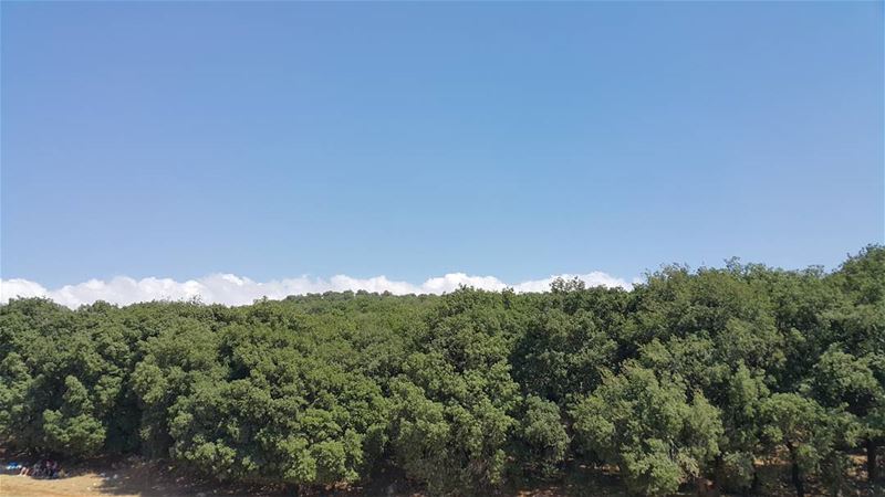  yaroun  yarounday  southlebanon  livelovelebanon  livelovenature  green ...