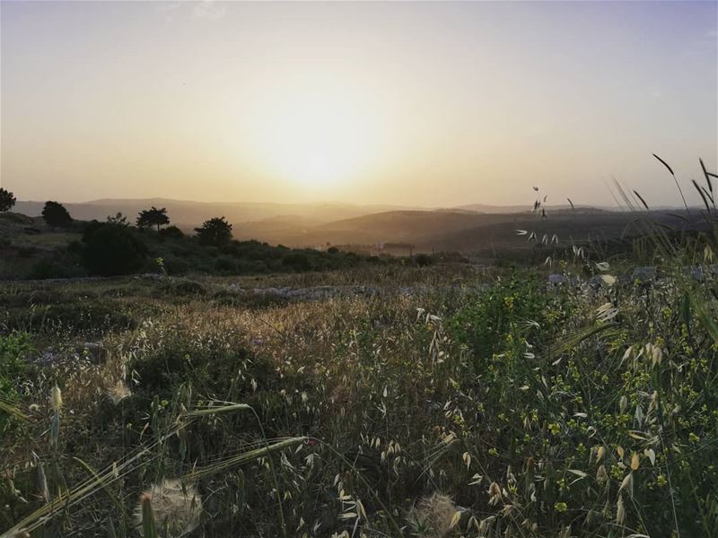  yaroun  yarounday  sunset  sun  livelovenature  livelovesouth ...