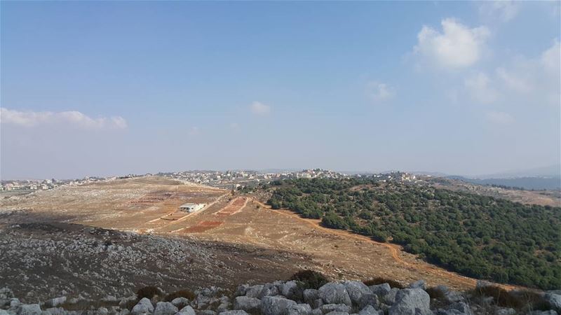  yaroun  yarounday  trees  nature  picnic  greatview  southlebanon ...