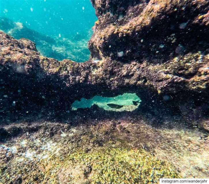 Yeah, i saw sparks... 💙🌊 underthesea  sea  beach  lebanon  fish  zen ... (Tabarja)