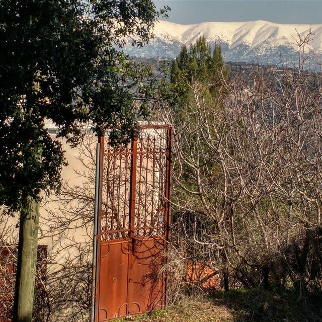 Year after year, it is there, standing proud.  olddoor  metaldoor ... (Dayr Al Qamar, Mont-Liban, Lebanon)