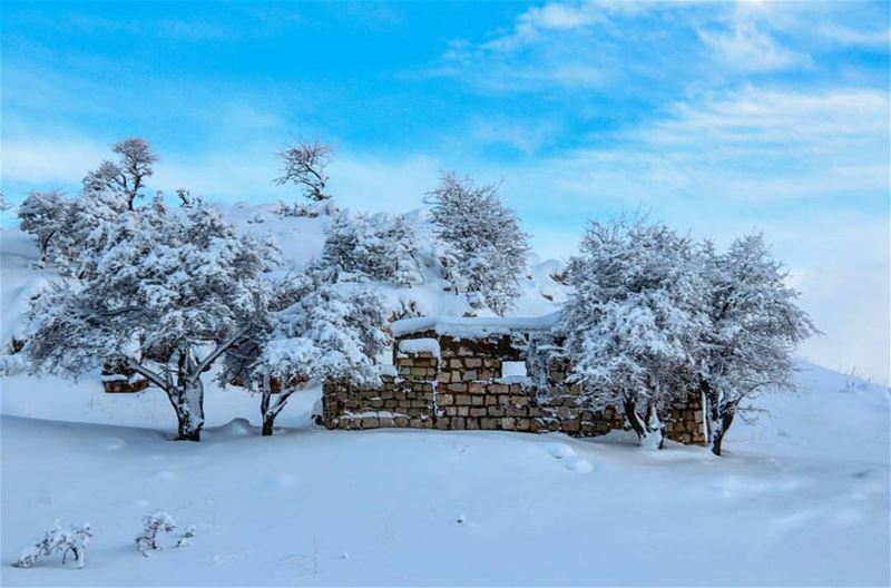 Yeayyyy the snow is here!! Let it snowwww ❄️⛄️❄️ thanks @areejkh_photo for... (Jabal Fâloûgha)