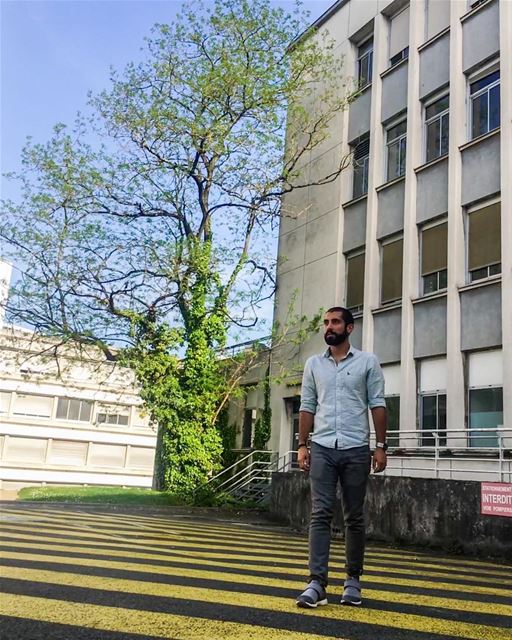 Yellow... green... and more. ______________________________________... (Universite de Bordeaux)