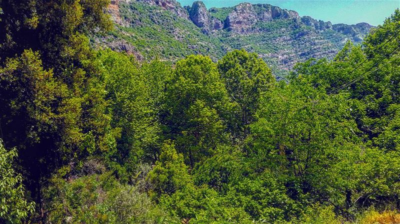 Yep folks. It's in the middle east. The very edge of it.  Lebanon ... (Tannurin At Tahta, Liban-Nord, Lebanon)