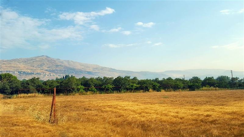  Yesterday is already a  dream, Tomorrow is only a vision. But  today... (Beqaa Valley)