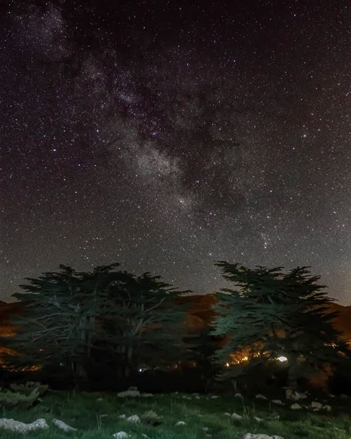 Yesterday night was the first day of the new moon, so it was a perfect... (Cedar Reserve Tannourine)