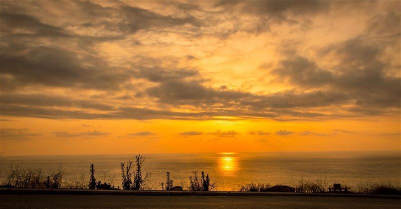 Yesterday...Shot with iphone   Globalcapture  loves_lebanon ...