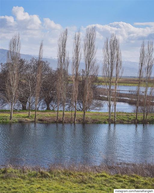 Yesterday was the first I see the Ammiq Wetland, the largest remaining... (Aammiq Wetland)