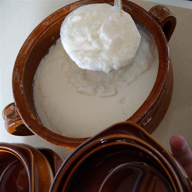  yogurt   laban   fresh  homemade  hotwheather🌞   yummychoices  ...