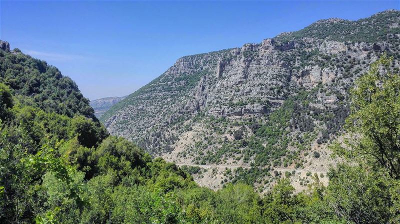 You appreciate only when you lose.  Lebanon  cedar  sky  clouds  liban ... (Tannurin At Tahta, Liban-Nord, Lebanon)