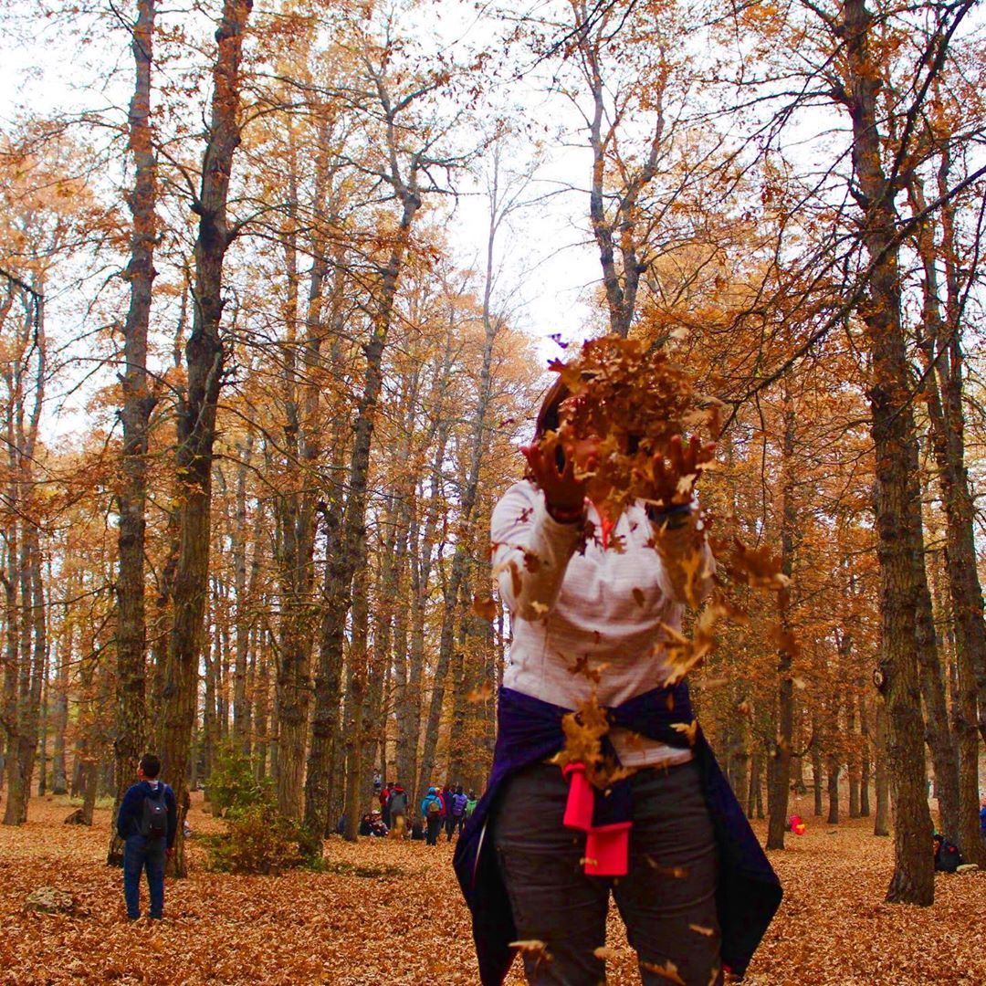 You are never too old to play in with leaves 🍁  fall  goldentrails ... (غابة العزر-القموعة)