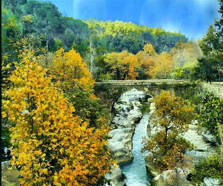 You can close your eyes to reality, but not to memories -Stanislaw Lec... (Jisr Al Qadi, Mont-Liban, Lebanon)