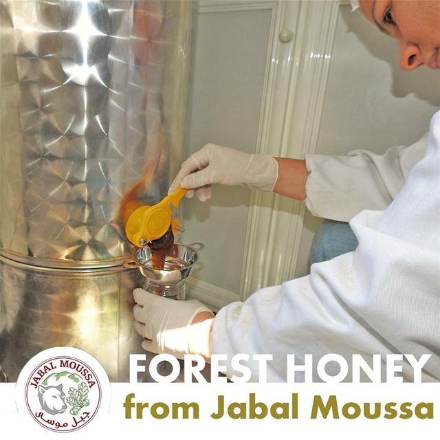 You can now order our famous  JabalMoussa Forest  Honey online! Every... (Jabal Moussa)