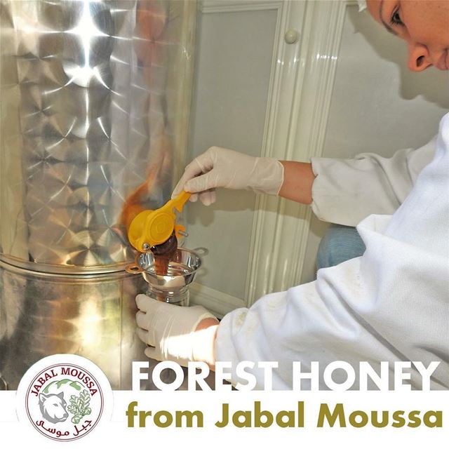 You can now order our famous  JabalMoussa Forest  Honey online! Every... (Jabal Moussa)