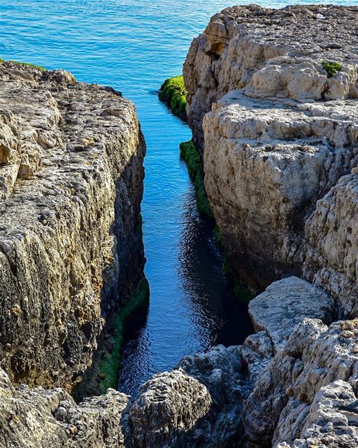 You can’t cross the sea merely by standing and starring at the water..“Rab (Beirut, Lebanon)