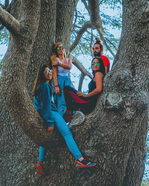 You can't do epic shit with basic people 😎😌 (Cedars of God)