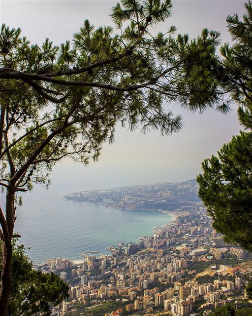 "You can't start the next chapter of your life, if you keep re-reading the... (Harîssa, Mont-Liban, Lebanon)