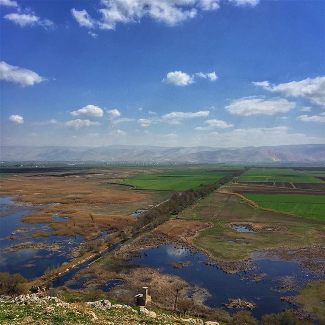 “You didn't come into this world. You came out of it, like a wave from the... (`Ammiq, Béqaa, Lebanon)