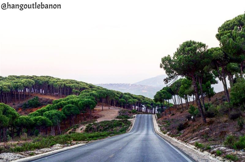 You don't need to travel to make  tourism, every inch of  Lebanon could be... (Jabal Al Rihan)