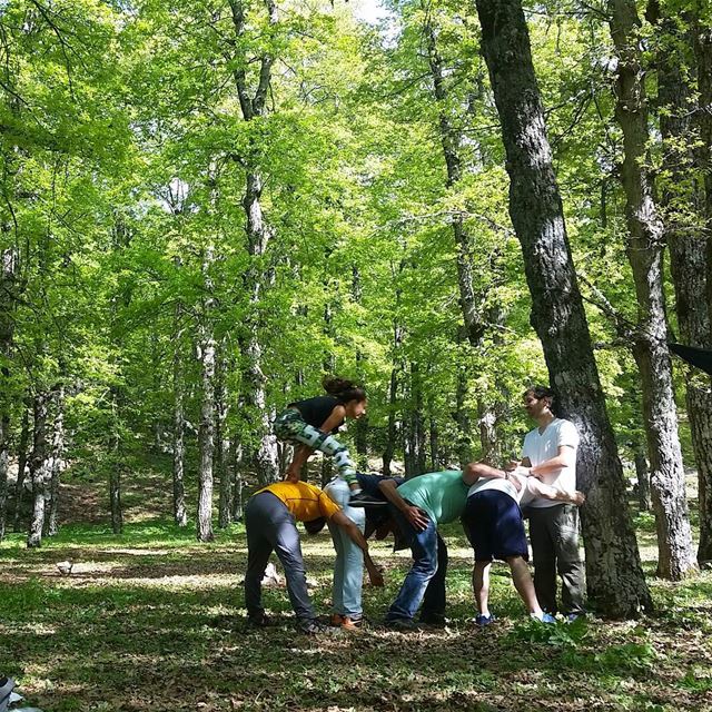 You don't stop having fun because you get old, you get old because you... (`Akkar, Liban-Nord, Lebanon)