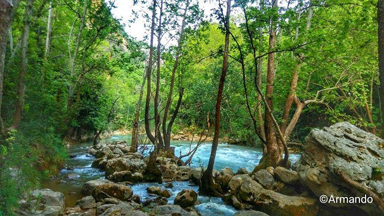 You drown not by falling into a river, but by staying submerged in it -...