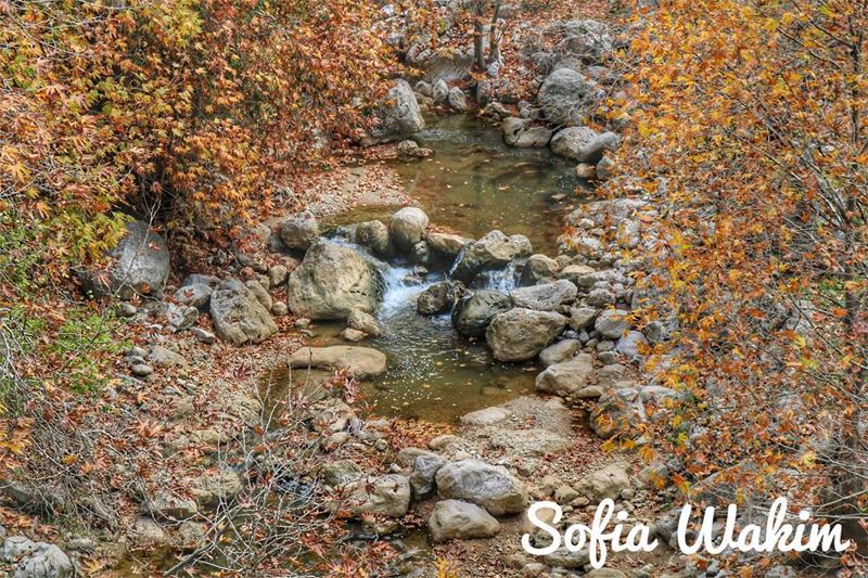 "You drown not by falling into a river, but by staying submerged in it."... (Kfardebian,Mount Lebanon,Lebanon)