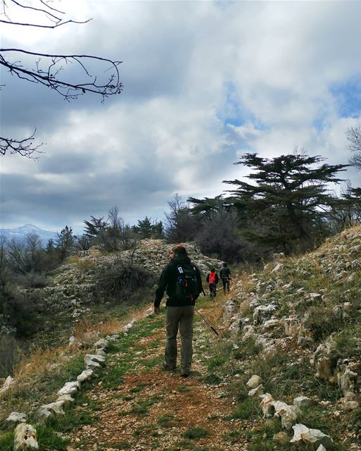 You ever hiked the same trail in different seasons? 🌲🚶🌲---------------- (Lebanon)