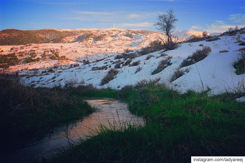 You find peace not by rearranging the circumstances of your life, but by... (Bâroûk, Mont-Liban, Lebanon)