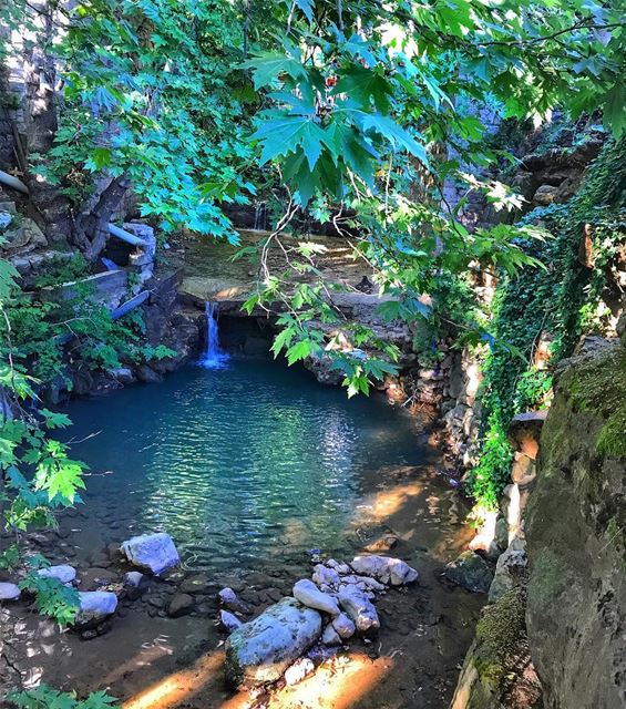 You have your world and I have mine! Welcome to my comfort zone ♥️🌲♥️ ... (Baskinta, Lebanon)