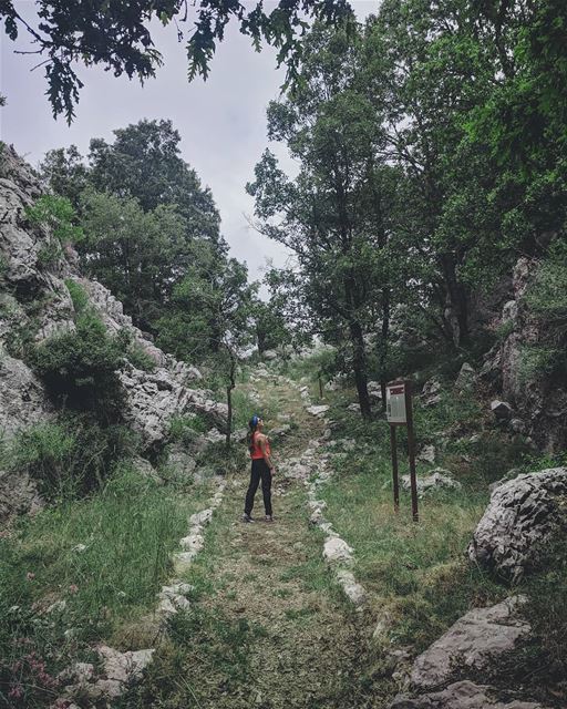 You just go on adventures to find where you truly belong. - Sue... (Jabal Moussa Biosphere Reserve)