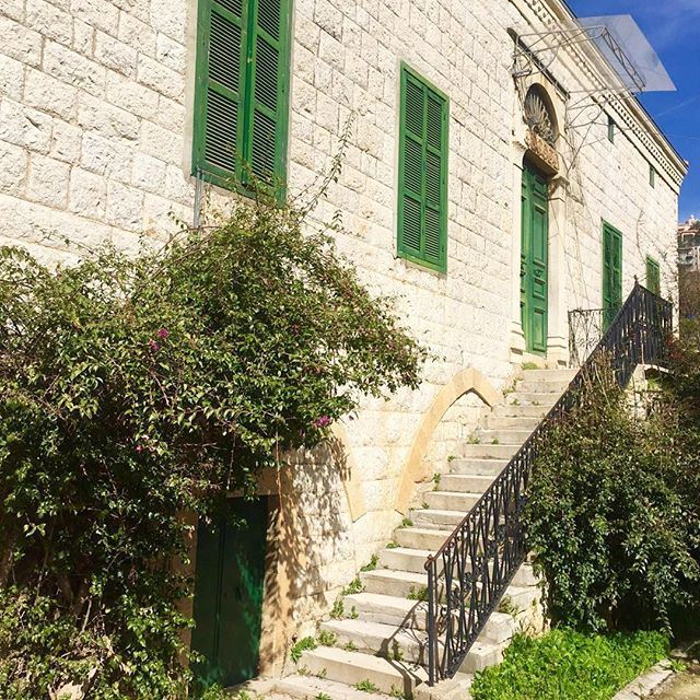 You know it's spring when green takes over again 🏡 (Beit Chabeb)